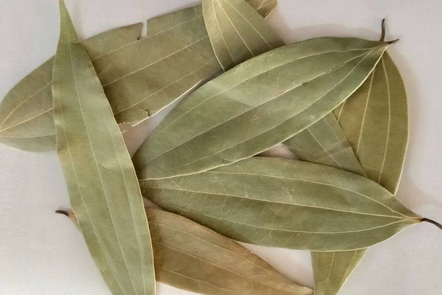 Bay Leaf Cultivation: Fueling Bengal’s growth, strengthening women’s independence -GetBengal Story