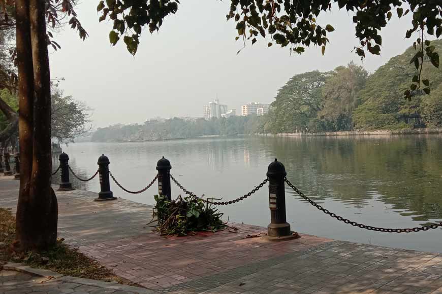 Rare Trees of Dhakuria Lake – Lungs of South Kolkata - GetBengal story