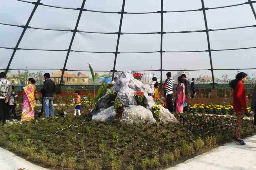 Kolkata&rsquo;s Eco Park throws up biodiversity
