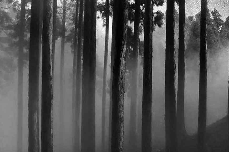 The Ghosts of Kurseong
