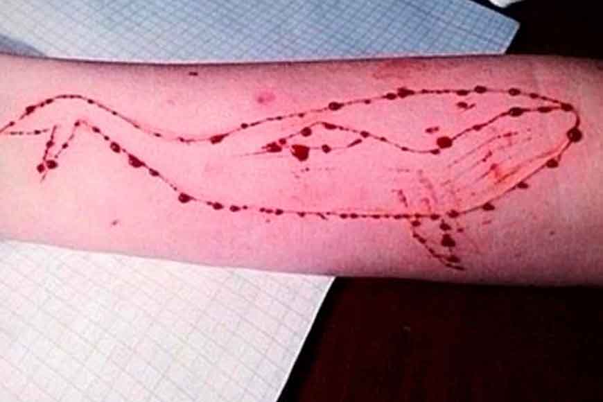 &lsquo;Blue Whale&rsquo; dare kills 14-year-old&nbsp;
