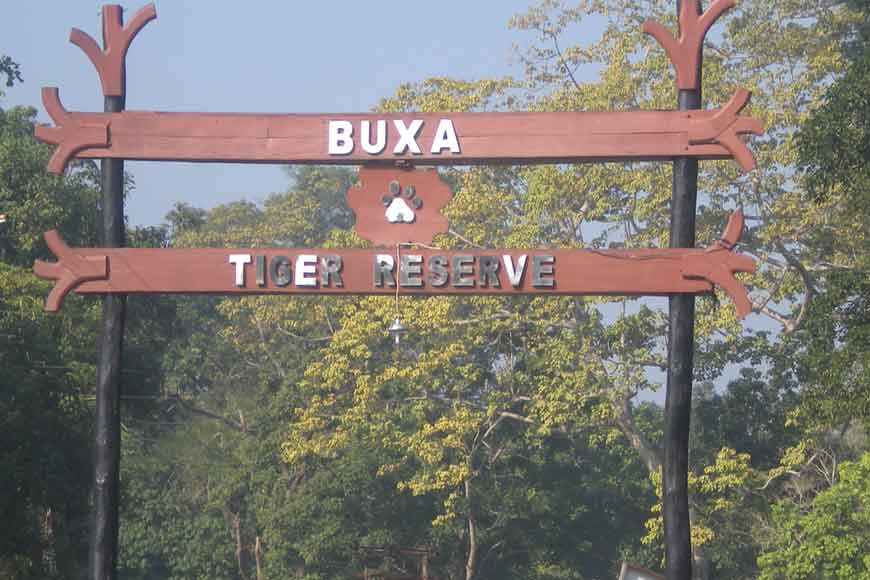 North Bengal floods hit Jaldapara and Buxa tiger reserves
