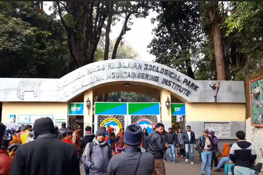 Padmaja Naidu Himalayan Zoological Park: A Beacon of Himalayan Wildlife Conservation - GetBengal Story