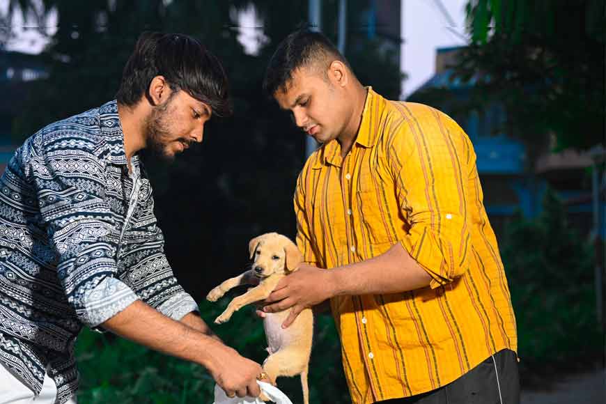 A little love and care: Bengal’s stray dogs on Rajdeep and Lisa’s canvas — GetBengal story