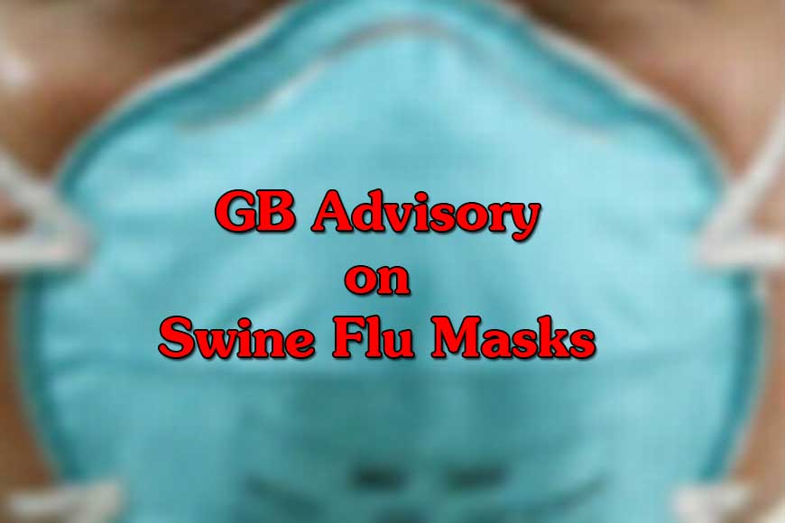 Which mask to use this Swine Flu season?
