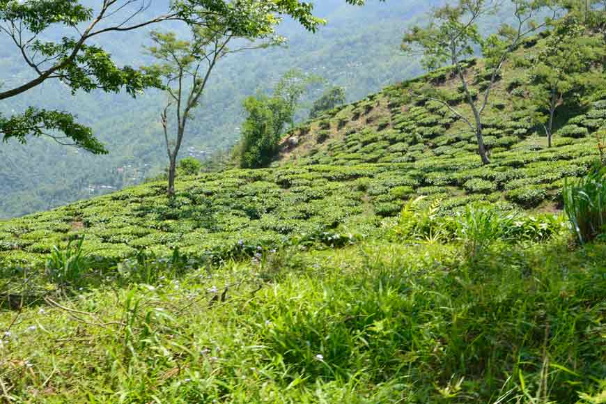 Travel with GB to the &lsquo;Village of Mist&rsquo;