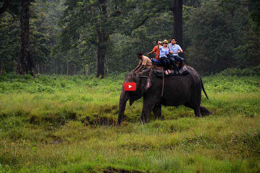 In North Bengal's forests, Aranya waits to welcome you