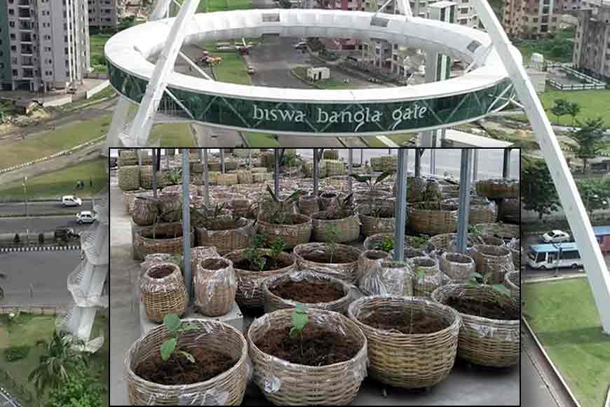 New Town to get first Tree Library of India
