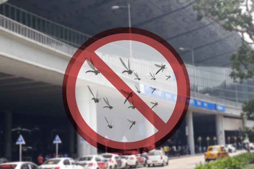 Anti-Sting operation at Dumdum Airport!
