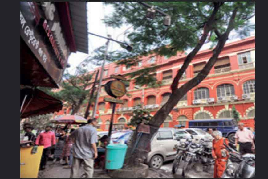 It&rsquo;s high time KMC realises how to protect the green
