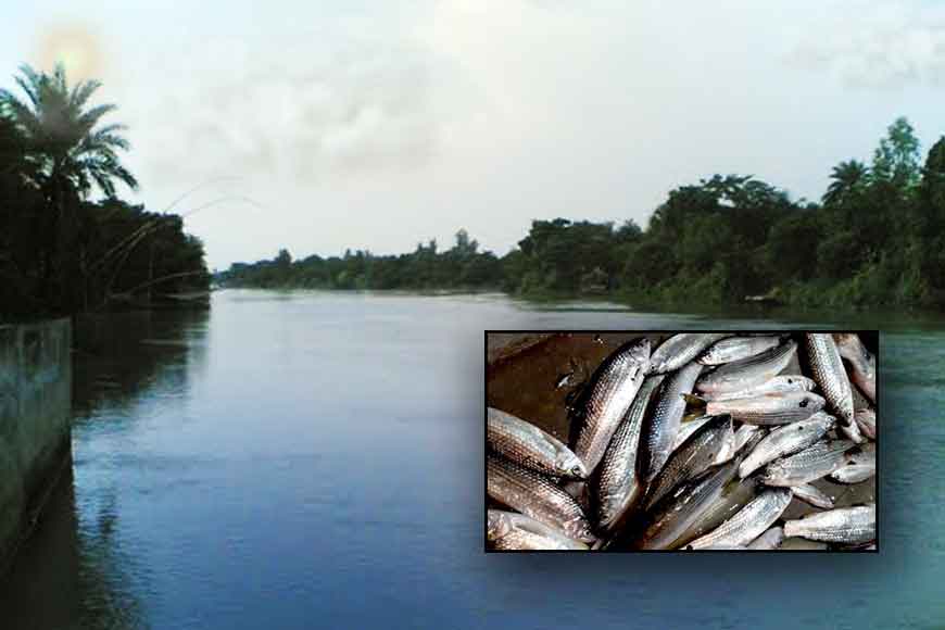 Lost glory of Atreyi River and its Raikher Fish!
