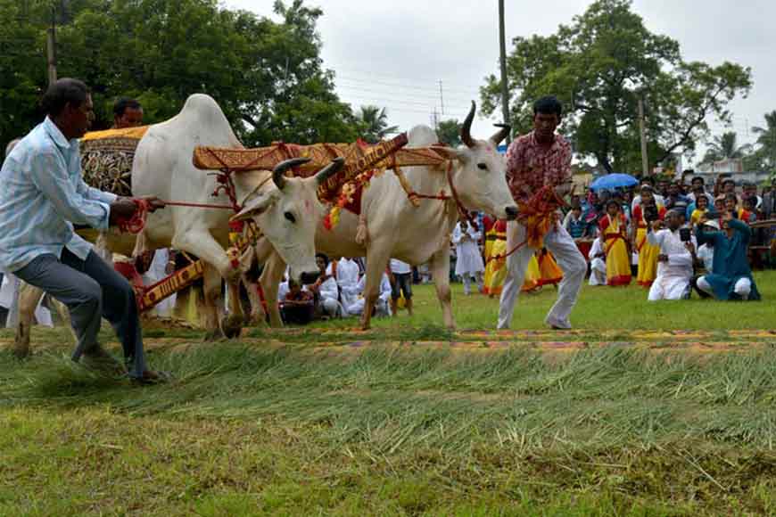 Rabindranath understood that agriculture is the true foundation – GetBengal story