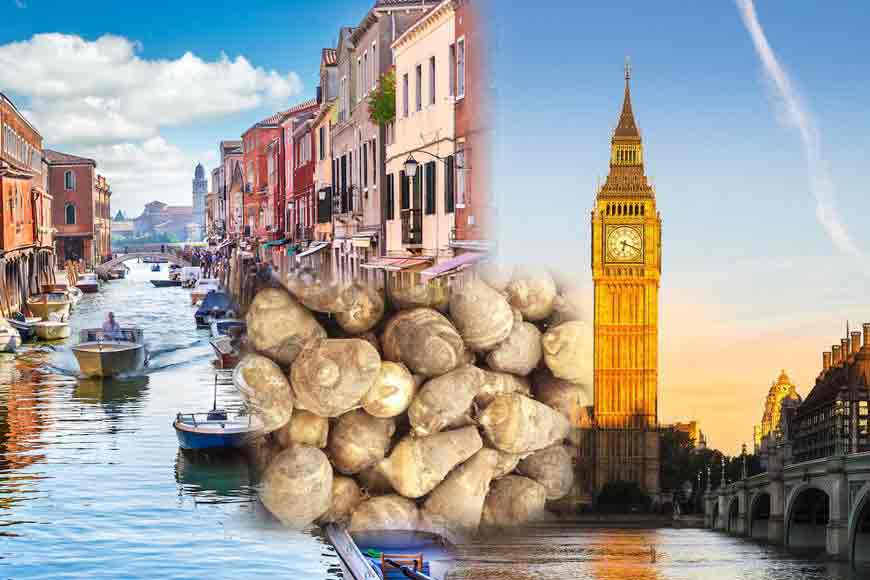 Bengal&rsquo;s veggie Kochu gets huge export boost to Britain and Italy!
