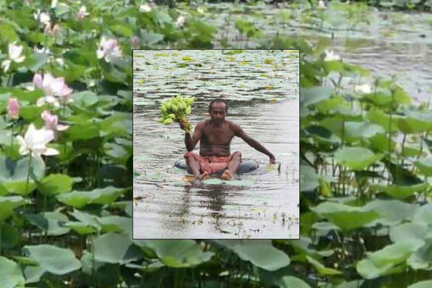 13K Lotus flowers to be exported by Bankura farmers to London
