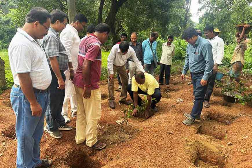 Can tea grow in Birbhum? A revolutionary attempt in the land of Tagore— GetBengal story